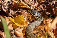 2019-11-13_11-53-06_HMR8380.jpg