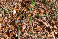 2019-11-13_11-55-23_HMR8402.jpg