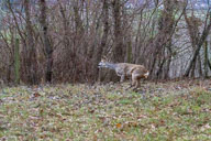 2020-12-29_13-46-56_D060598.jpg