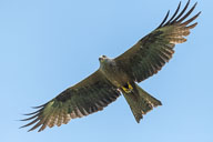 2021-06-12_13-54-44_HMR9050.jpg