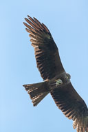 2021-06-12_13-54-48_HMR9064.jpg