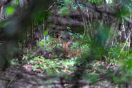 2022-07-26_09-35-17_D062229.jpg