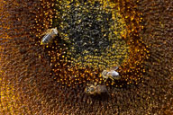 2022-08-15_09-57-34_D062868_v1.jpg