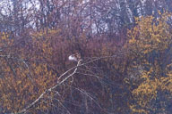 2023-01-08_14-42-06_D066453.jpg