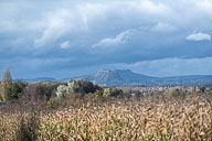 Landschaft Westlicher Bodensee