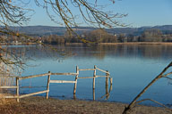 Markelwinker Winkel / Gnadensee 2020-02-07_09-23-13_DSC5083-200207-2907.jpg