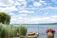 Gnadensee von der Reichenau 2020-06-08_12-23-24_HMR2677-200608-3064.jpg