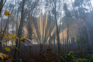 Novembernebel und Sonnenschein 2020-11-15_15-12-31_D060050.jpg