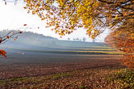 Spätherbst 2020-11-15_15-35-27_D060072.jpg