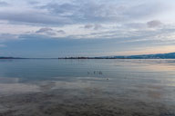 Zeller See Reichenau 2021-01-08_17-00-56_HMR5906.jpg