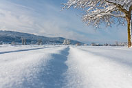 Landschaft Westlicher Bodensee