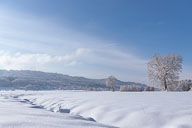 Schiener Berge im Winterkleid 2021-01-15_13-03-48_HMR6008.jpg
