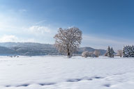 Landschaft Westlicher Bodensee