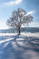 Schiener Berge im Winterkleid 2021-01-15_13-24-30_HMR6033.jpg