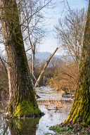 Hochwasser an der Aach 2021-02-05_09-04-43_D060985.jpg