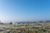 Morgenstimmung über dem Gnadensee und Mettnau 2021-03-02_08-16-34_DSC6275.jpg