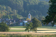 Bankholzen vor dem Schiener Berg 2021-05-30_19-20-18_HMR8597.jpg