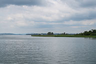 Untersee und Wolmatinger Ried 2021-07-17_13-48-28_D064751.jpg