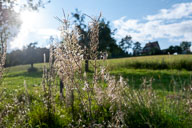 Warme Herbsttage 2021-09-11_17-49-36_HMR2286.jpg