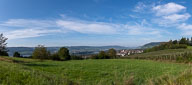 Öhningen 2021-09-14_10-07-462021-09-14_10-07-20_HMR2329-Pano.jpg