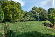 Wanderweg zwischen Öhningen und dem Aspenhof 2021-09-14_10-50-26_HMR2377.jpg