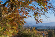 Herbststimmung mit Säntis 2021-10-24_16-34-16_D067374.jpg