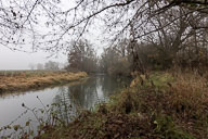 Radolfzeller Aach 2021-11-19_14-29-33_HMR4699.jpg
