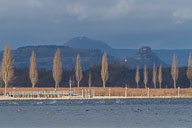 Winter am Radolfzeller See 2021-12-02_12-09-49_D067706.jpg