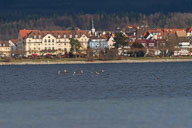 Radolfzeller Seepromenade 2021-12-02_12-14-11_D067737.jpg