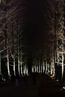 Lichtinstallation Christmas Garden 2021-12-22_20-26-39_D067858.jpg
