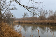 Aach 2022-01-07_15-49-42_HMR5926.jpg