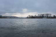 Untersee kurz vor Stein am Rhein 2022-01-09_16-06-42_HMR6035.jpg