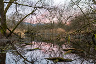 Spiegelung im Abendlicht 2022-01-22_18-08-18_HMR6036.jpg