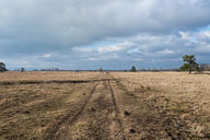 Landschaft Westlicher Bodensee
