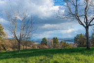 Landschaft Westlicher Bodensee
