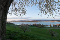Reichenau 2022-04-10_19-42-02_HMR7926.jpg