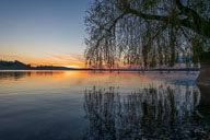 Höri, Hegau und Untersee 2022-04-10_20-13-53_HMR7944.jpg