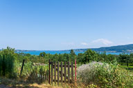 Untersee Richtung Konstanz 2022-06-20_15-45-19_HMR8434.jpg
