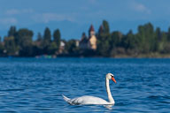 Landschaft Westlicher Bodensee
