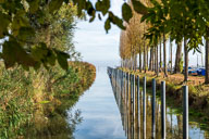 Mooser Hafen 2022-10-17_12-13-58_HMR1399.jpg