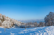 Radolfzeller See 2022-12-11_10-33-402022-12-11_10-33-32_HMR2834-Pano.jpg