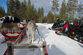 Finnland 2015-03 - Rovaniemi Finnland 2015-03 - Rovaniemi