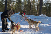 Finnland 2015-03 - Rovaniemi Finnland 2015-03 - Rovaniemi