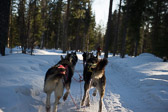 Finnland 2015-03 - Rovaniemi Finnland 2015-03 - Rovaniemi