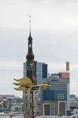 Estland 2016-02 Estland 2016-02