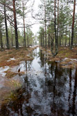 Estland 2016-02 Estland 2016-02