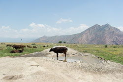 Begegnungen _DSC3560.jpg