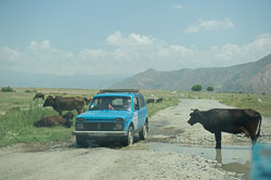 und Gegenverkehr _DSC3562.jpg