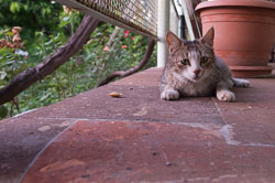 _DSC3686.jpg _DSC3686.jpg