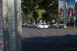 _DSC3718.jpg _DSC3718.jpg